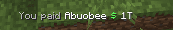Minecraft action bar showing a local You paid payment confirmation