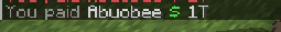 Minecraft chat showing a local You paid payment confirmation