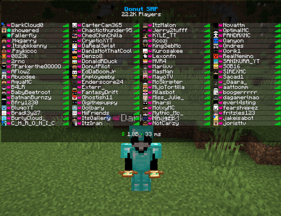 DonutSMP player list showing the fake media badge beside the local username
