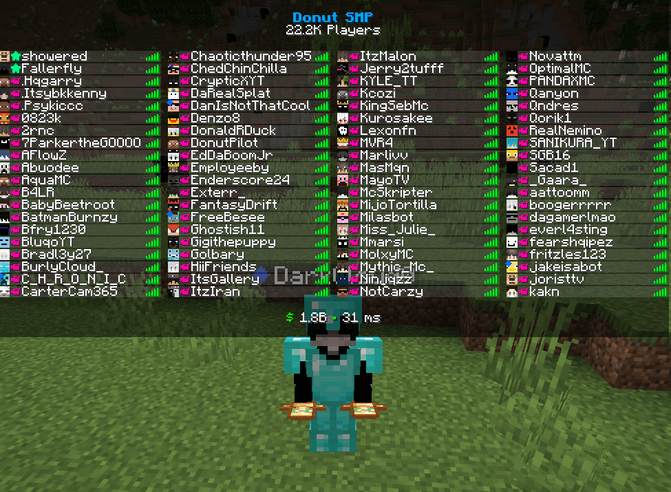 Full DonutSMP tab list demonstrating the placement of the fake media rank visual