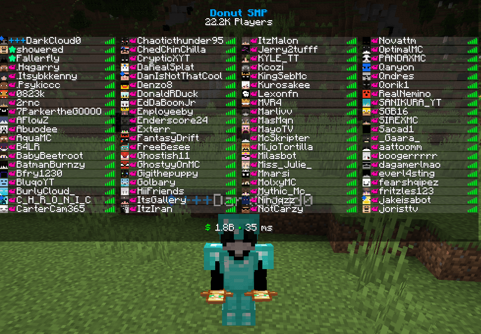 DonutSMP player list showing the fake rank styling in normal gameplay