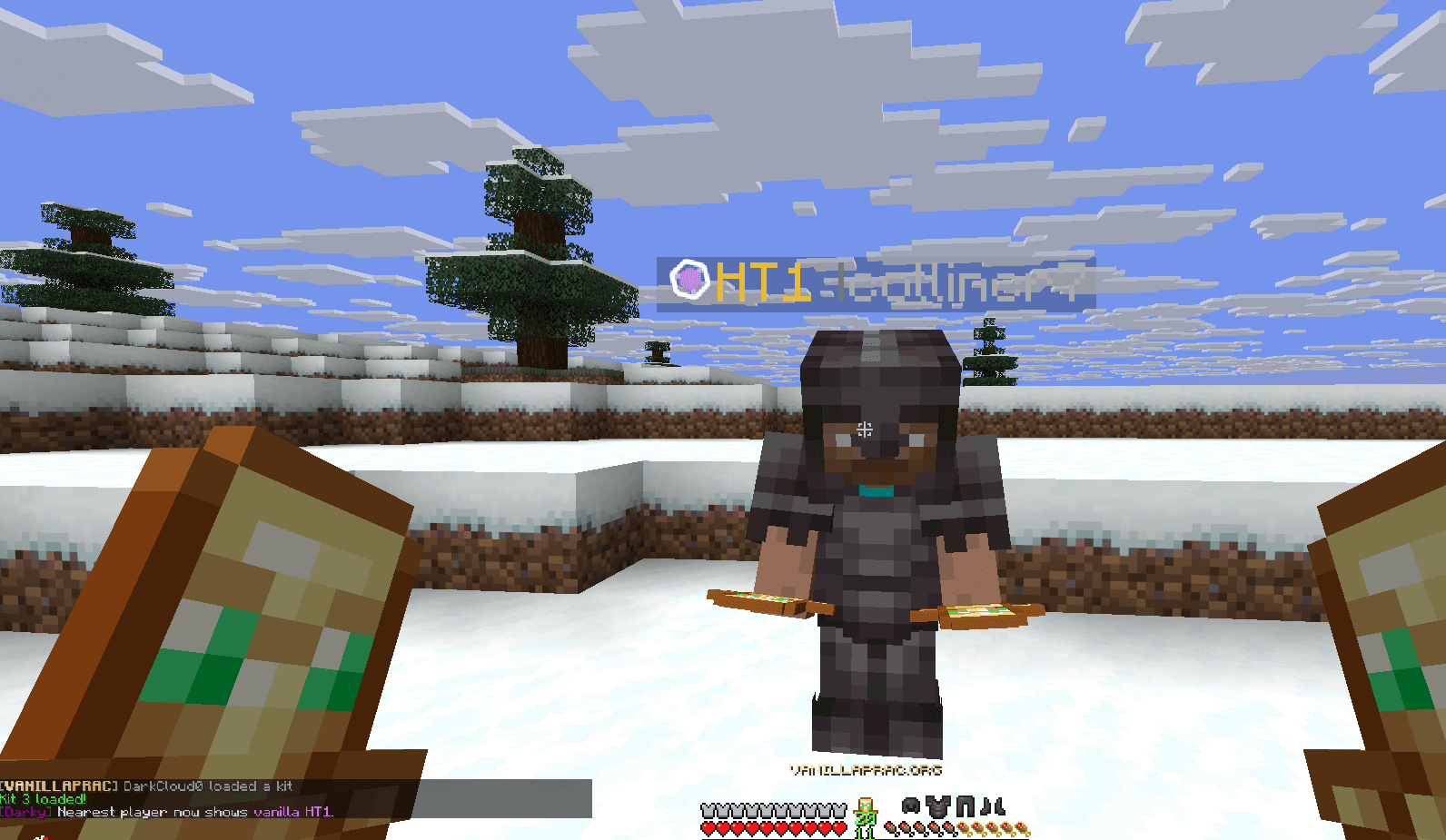 Minecraft nearby player shown with their original local display before Player Transformer changes