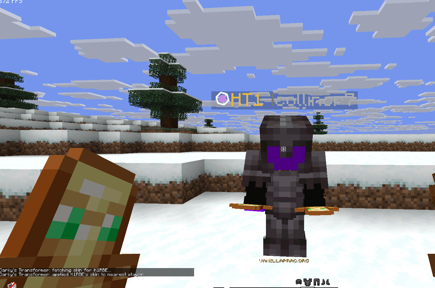 Minecraft nearby player with a locally replaced skin using Player Transformer